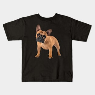 French Bulldog, Frenchie Lover, French Bulldogs Kids T-Shirt